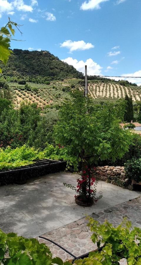 Cortijo El Lerele Apartment Cazorla Exterior photo